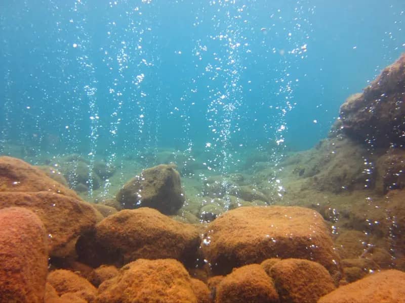Champagne Reef Snorkeling