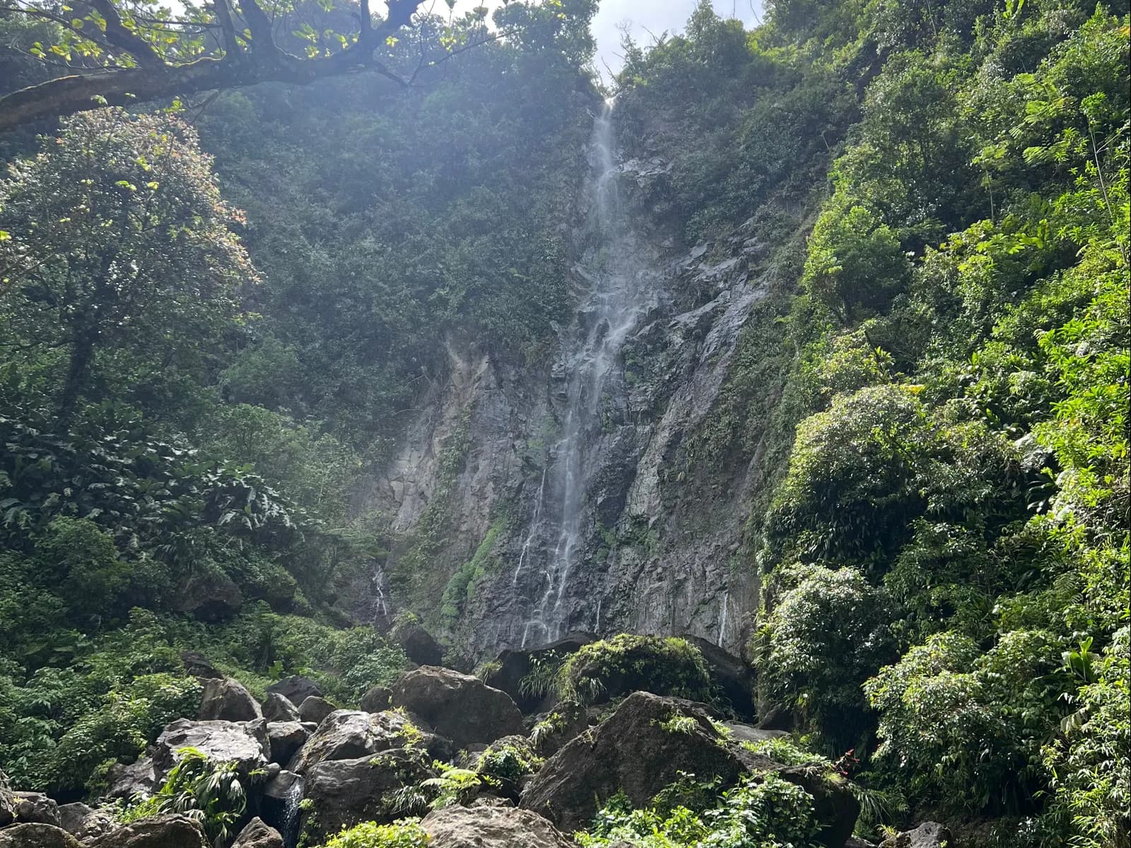 Jack Falls