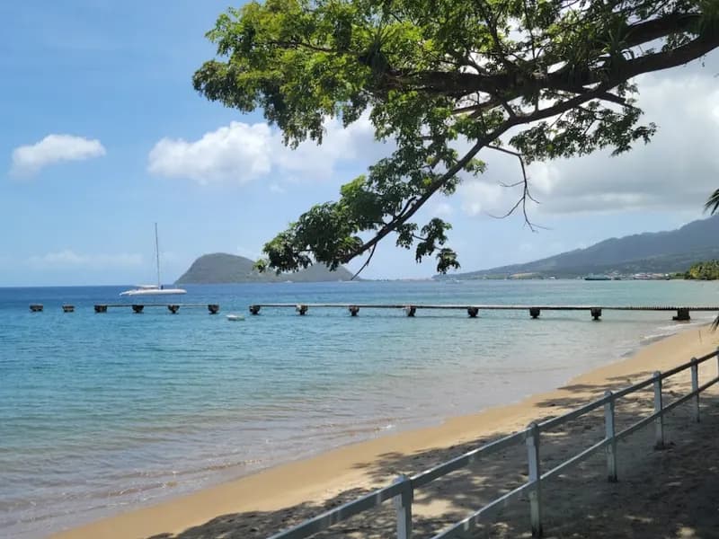 Coconut Beach