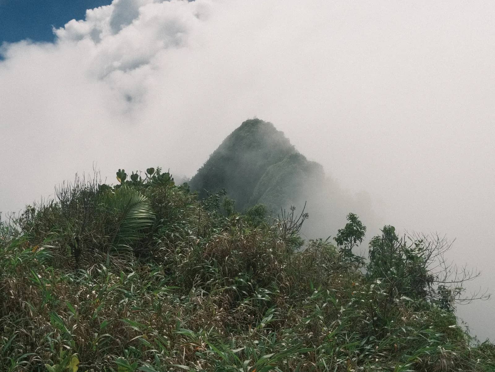 Morne Anglais Trail
