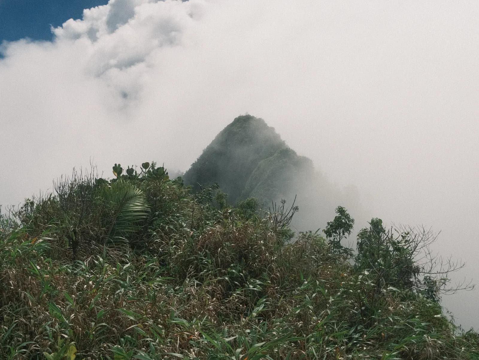 Morne Anglais Trail