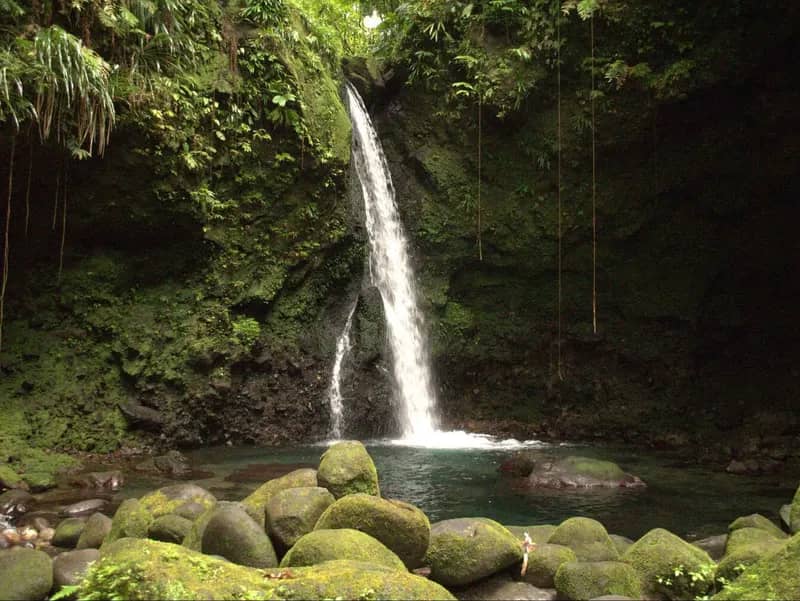 Jacko Falls