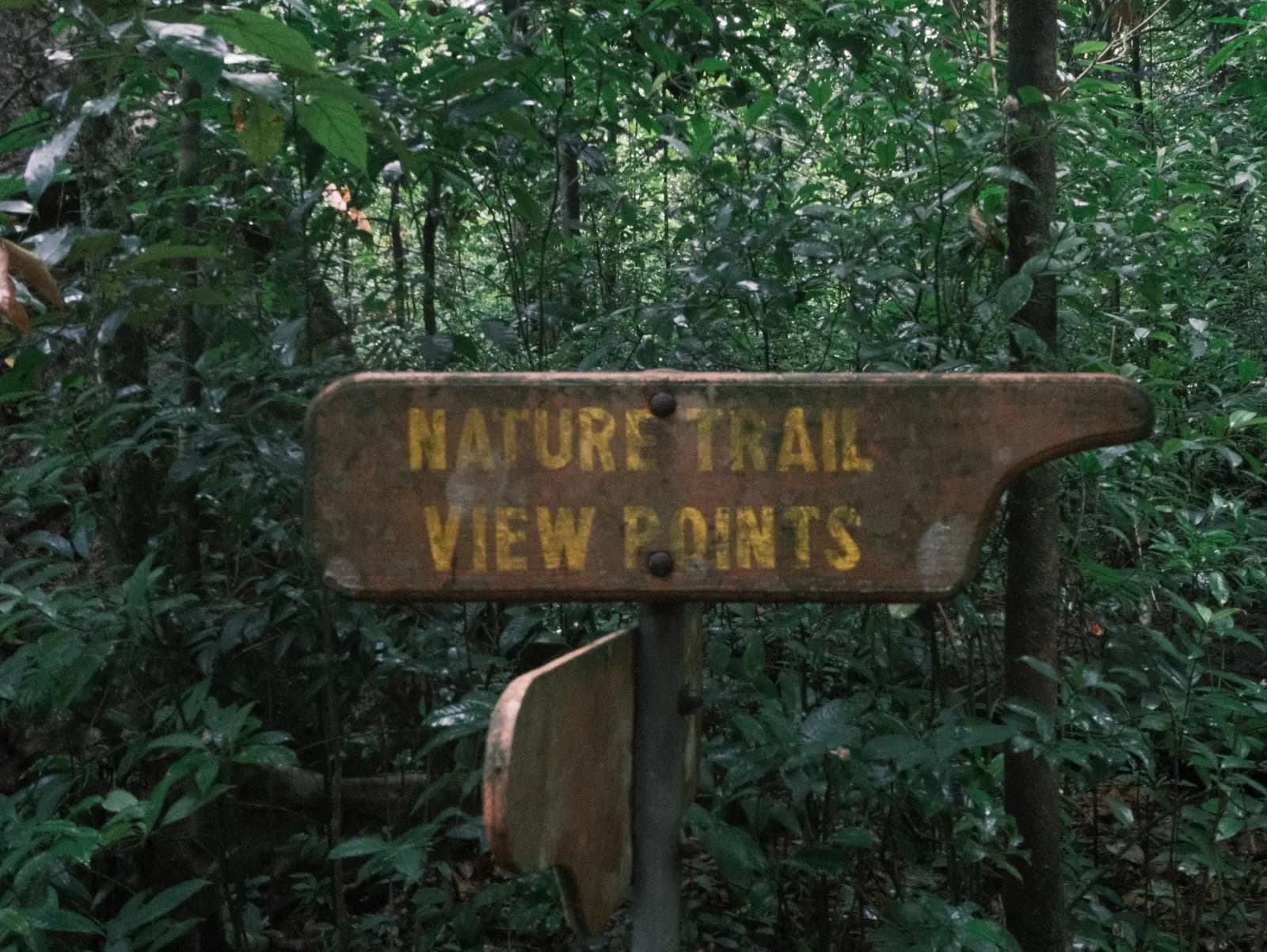 Syndicate Trail