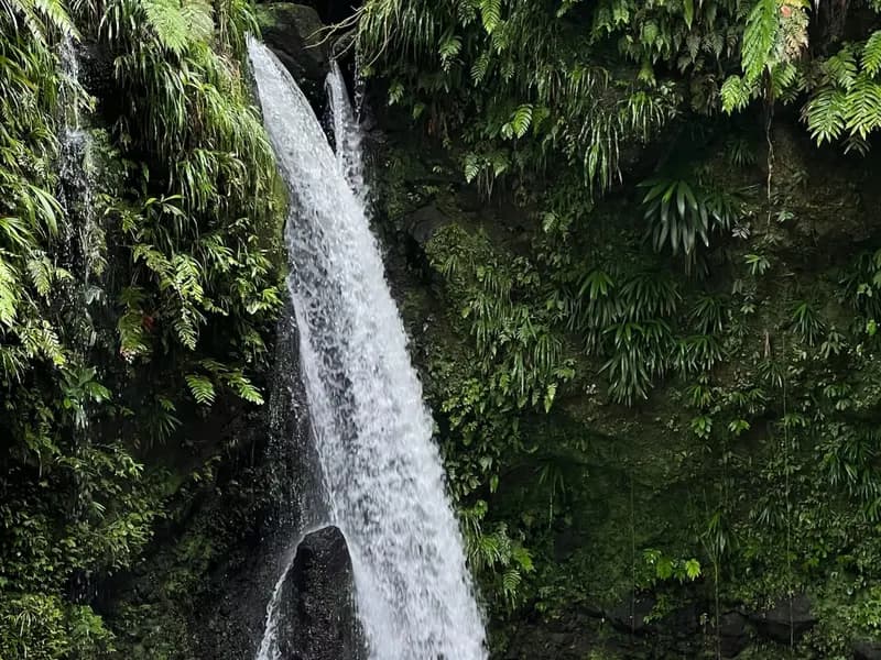 Spanny Falls