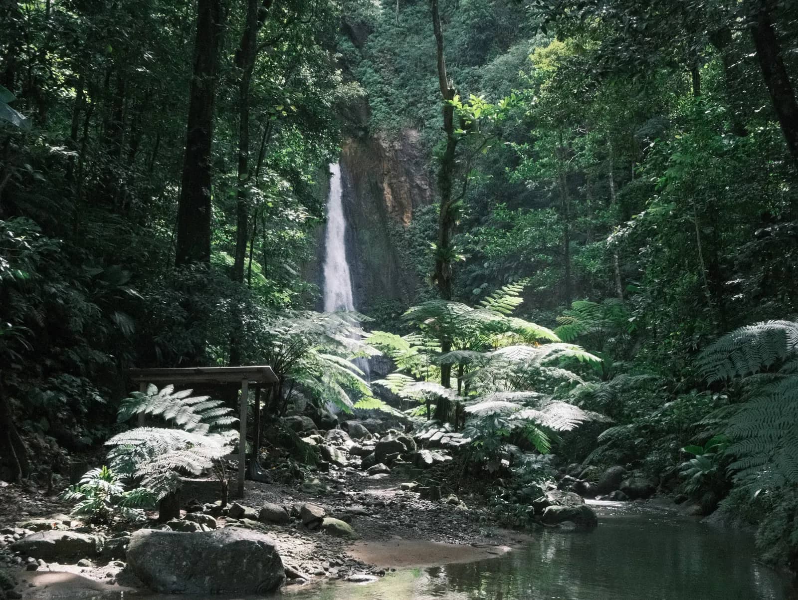 Syndicate Falls