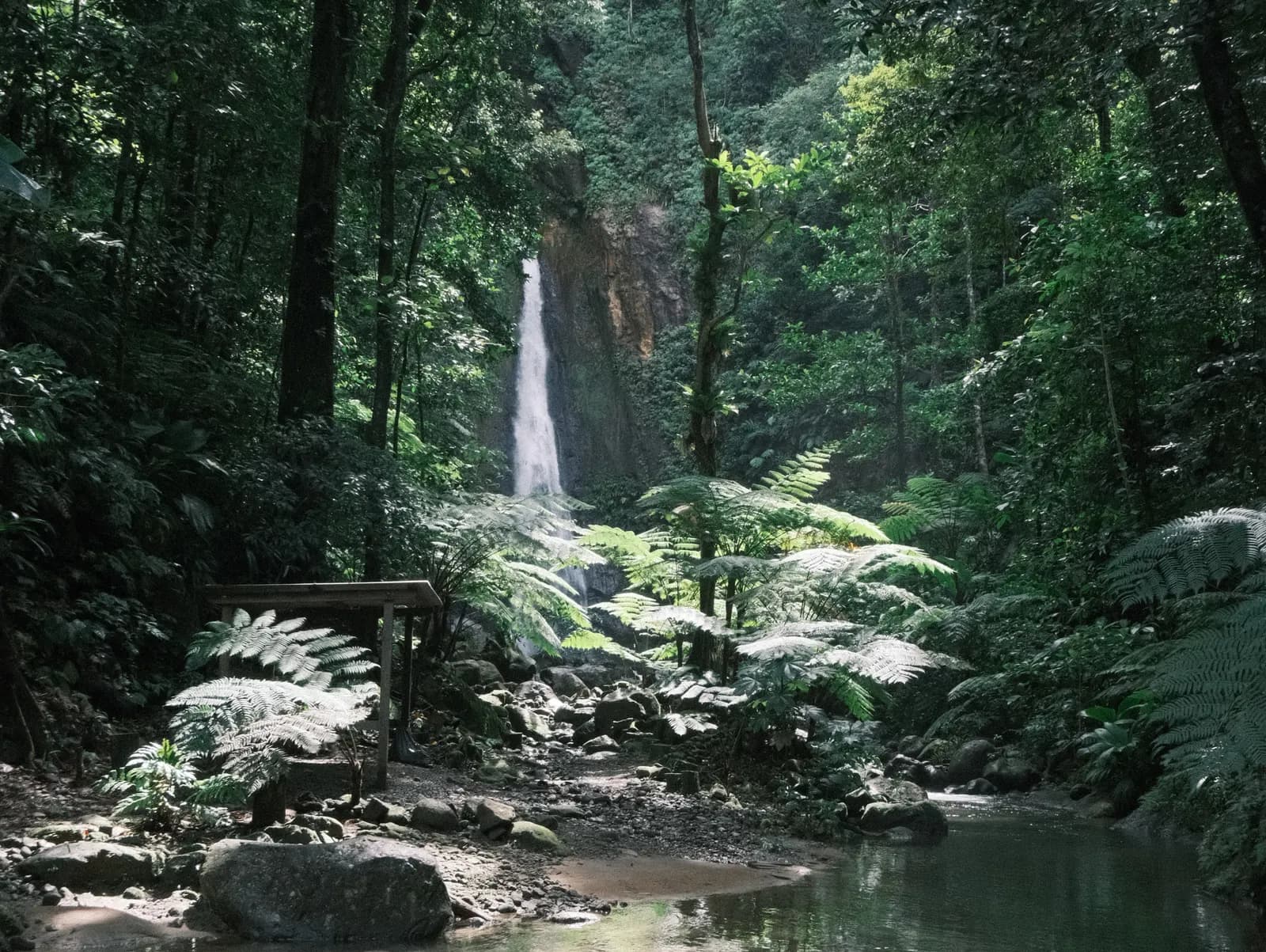 Syndicate Falls