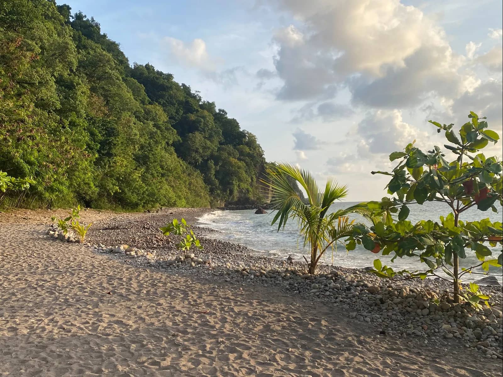 Champagne Beach