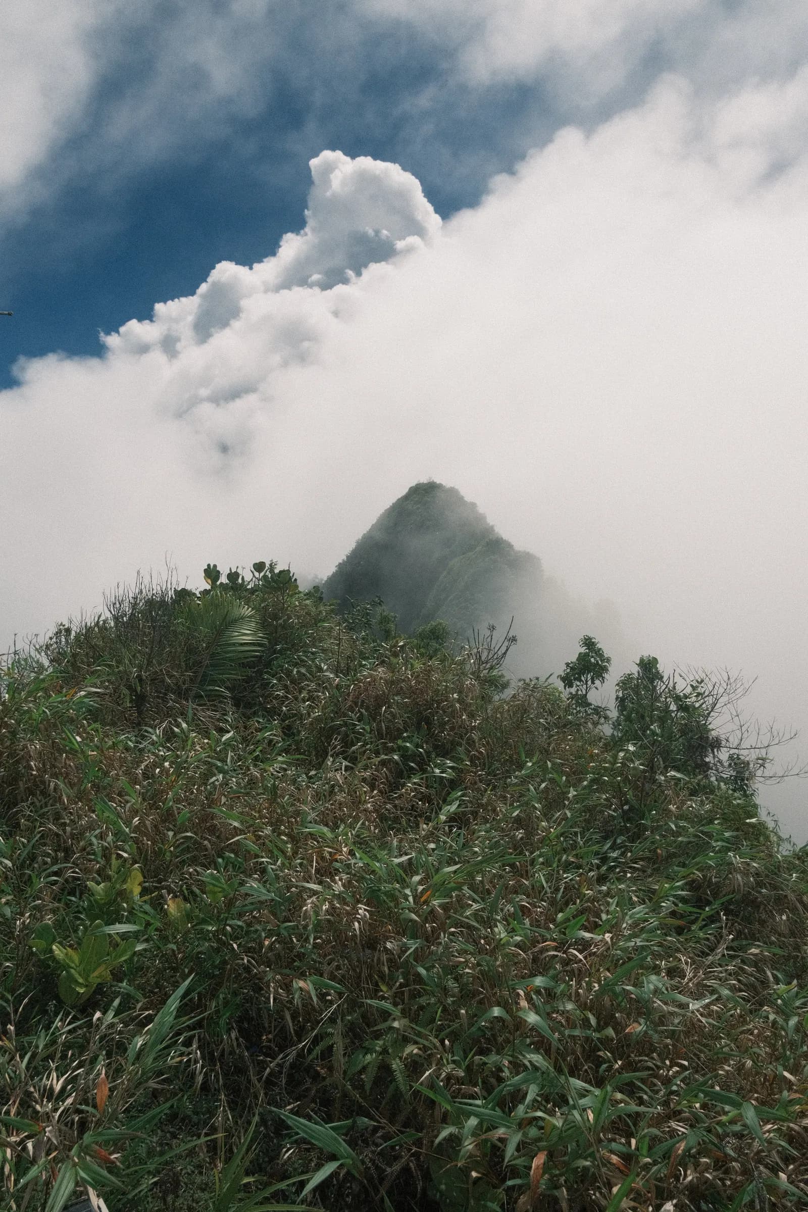 test variante photo 2