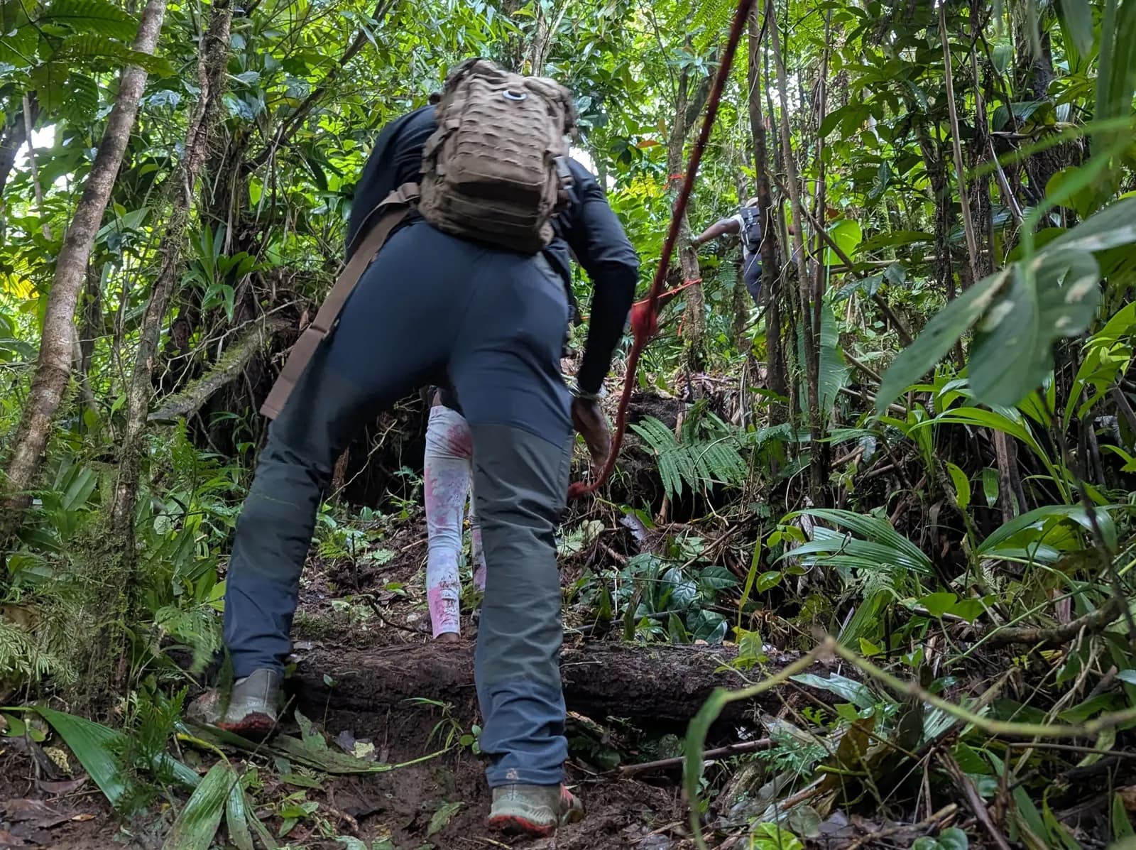 Dominica: 1-Day Hidden Lakes, Falls Trek & Hot Spring Recovery photo 5