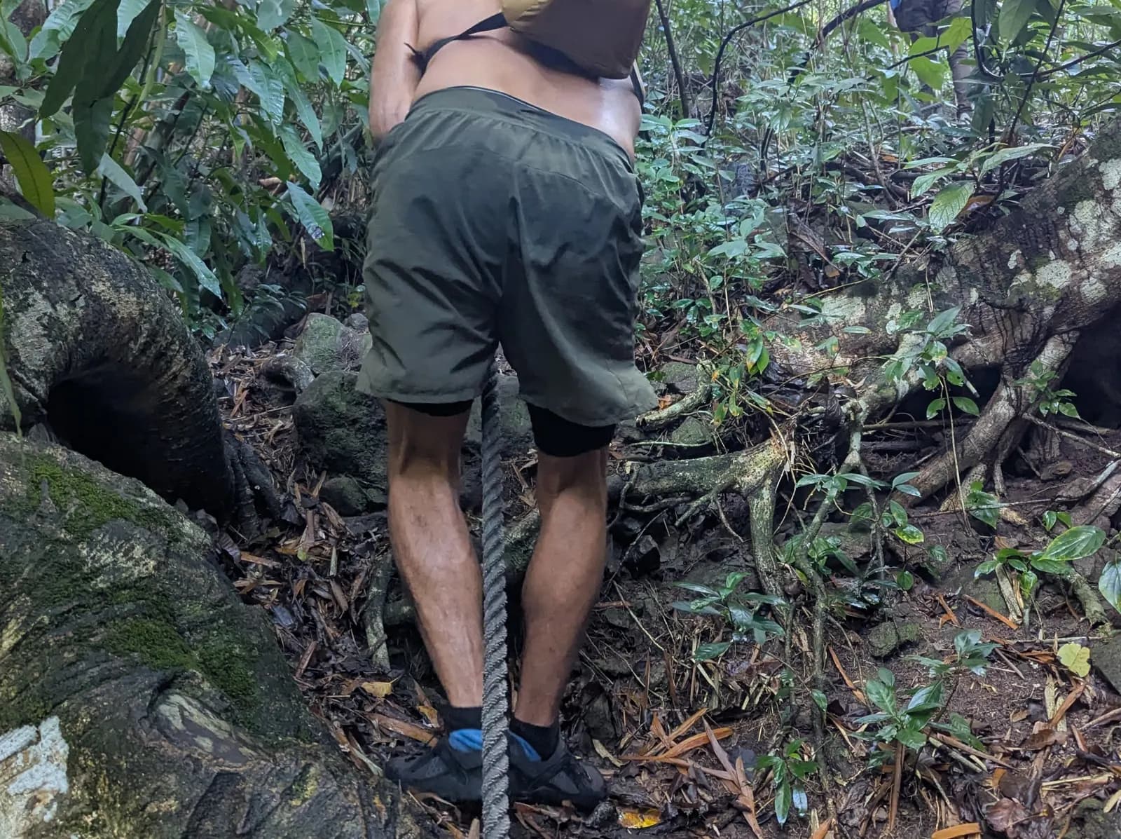 Dominica: 1-Day Hidden Lakes, Falls Trek & Hot Spring Recovery photo 6