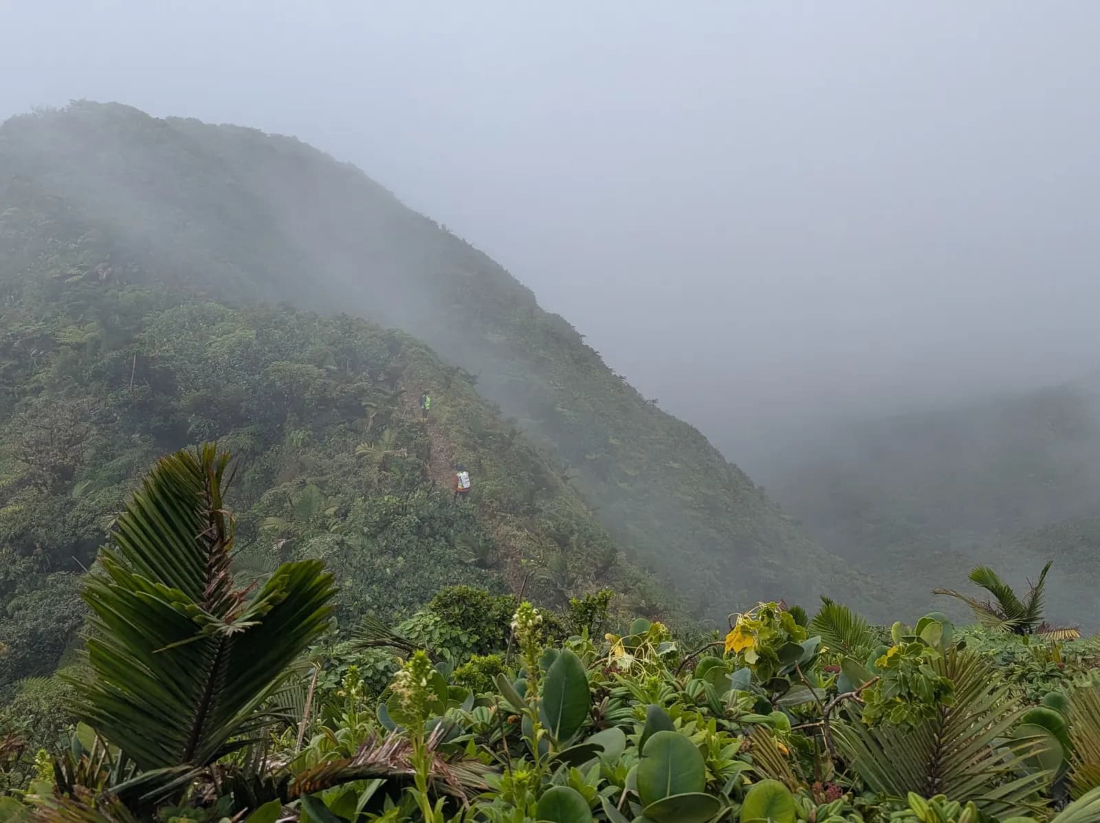Dominica: 1-Day Hidden Lakes, Falls Trek & Hot Spring Recovery photo 7