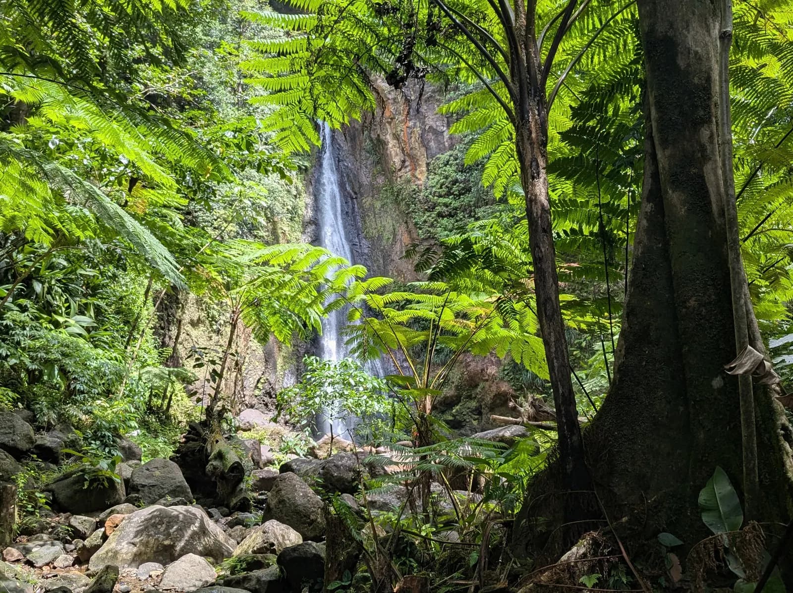Dominica: 1-Day Hidden Lakes, Falls Trek & Hot Spring Recovery photo 8