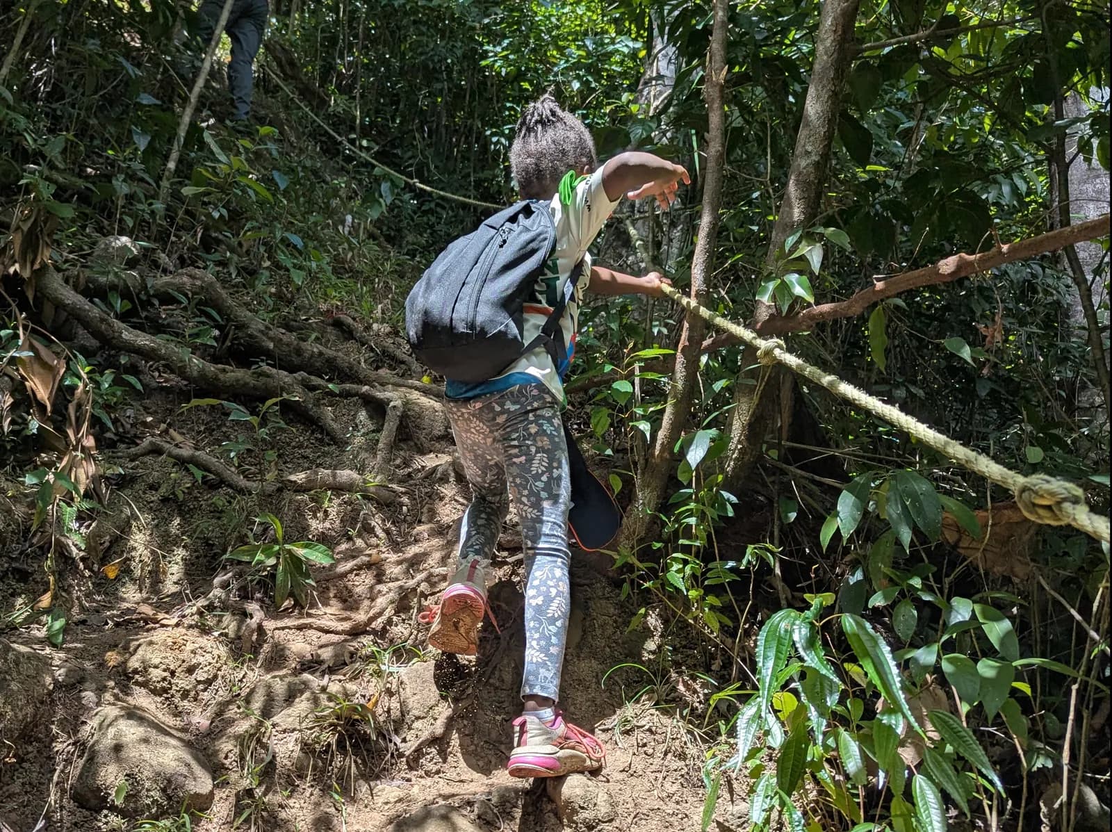 Dominica: 1-Day Hidden Lakes, Falls Trek & Hot Spring Recovery photo 9