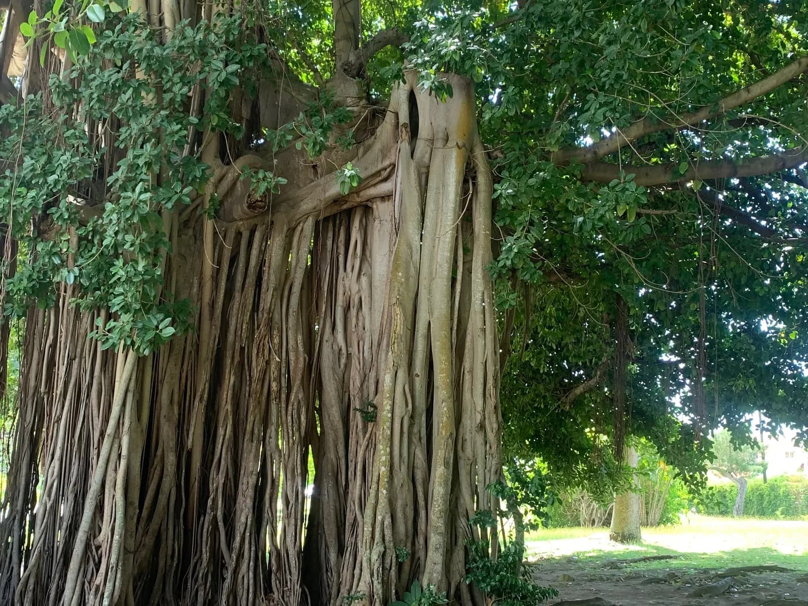 Sewotours Excursions - Nature & Relaxation Escape Tour photo 4