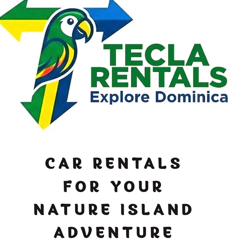 Welcome photo from Tecla Rentals