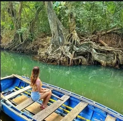 Sewotours Excursions - 🌴 Authentic Dominica Experience photo 4