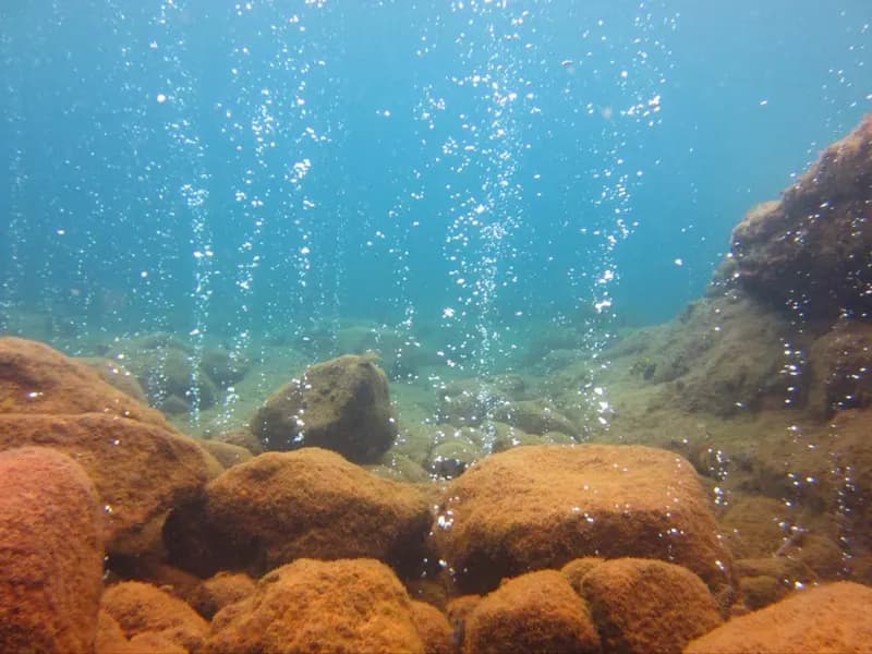 Guided Snorkelling at Champagne Reef with Donny's Watersports photo 2
