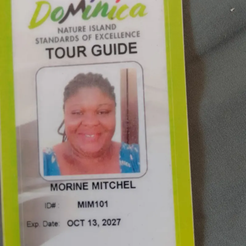 Morine Mitchel