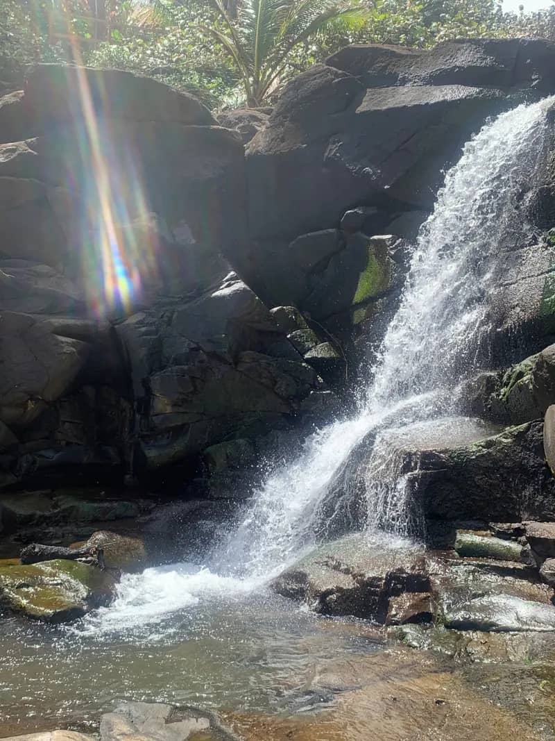 🌿 Emerald Waters & Kalinago Heritage Adventure 🇩🇲