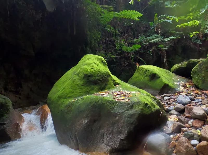 Volcanic Baths Canyon