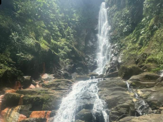 Trafalgar Hot Springs