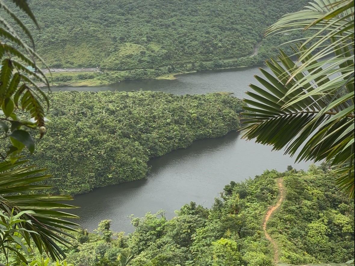 Freshwater Lake Trail Loop