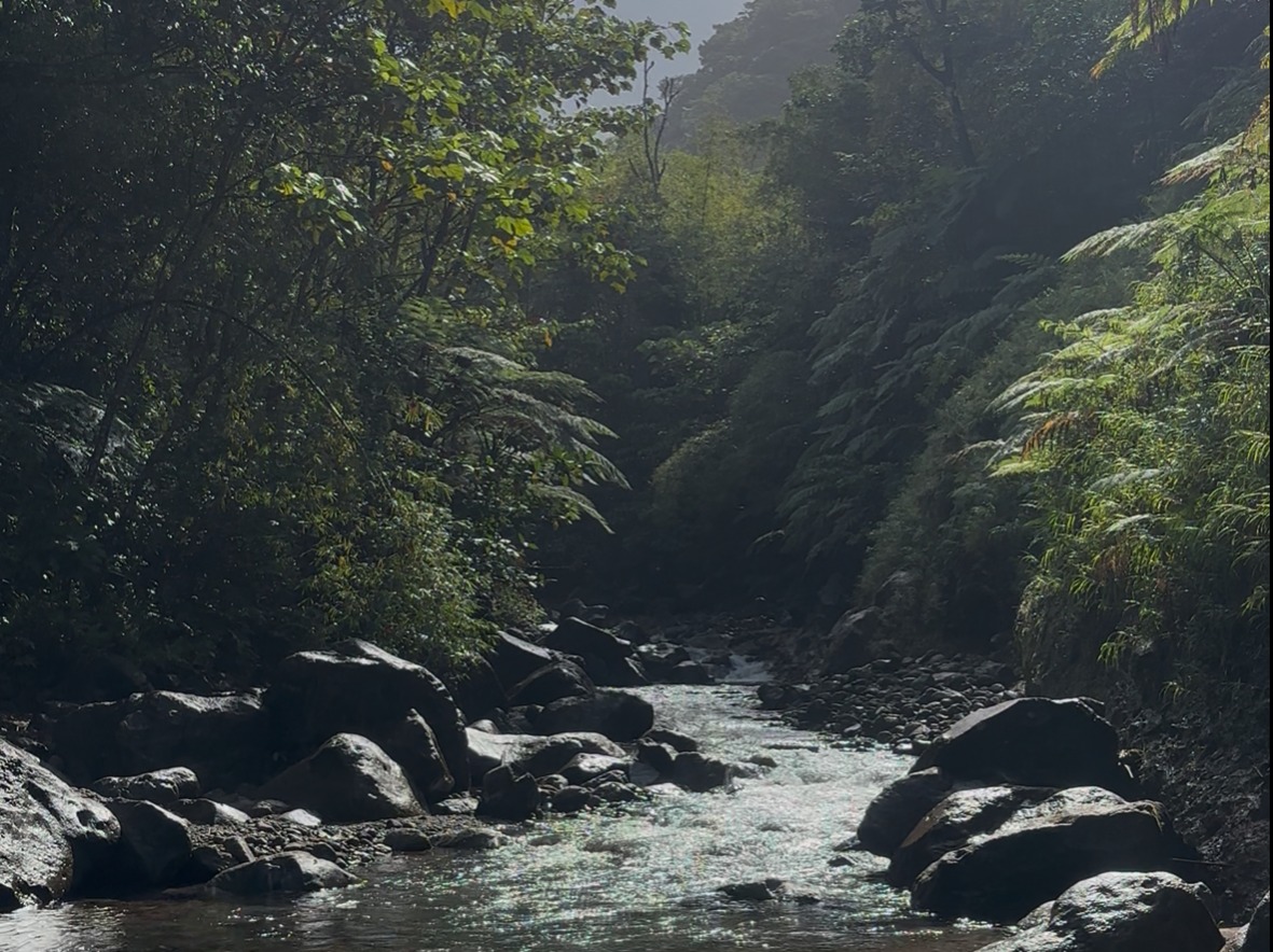 WNT 3: Bellevue to Wotten Waven