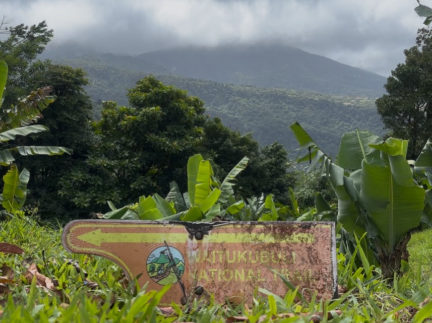 WNT 4: Wotten Waven to Pont Casse