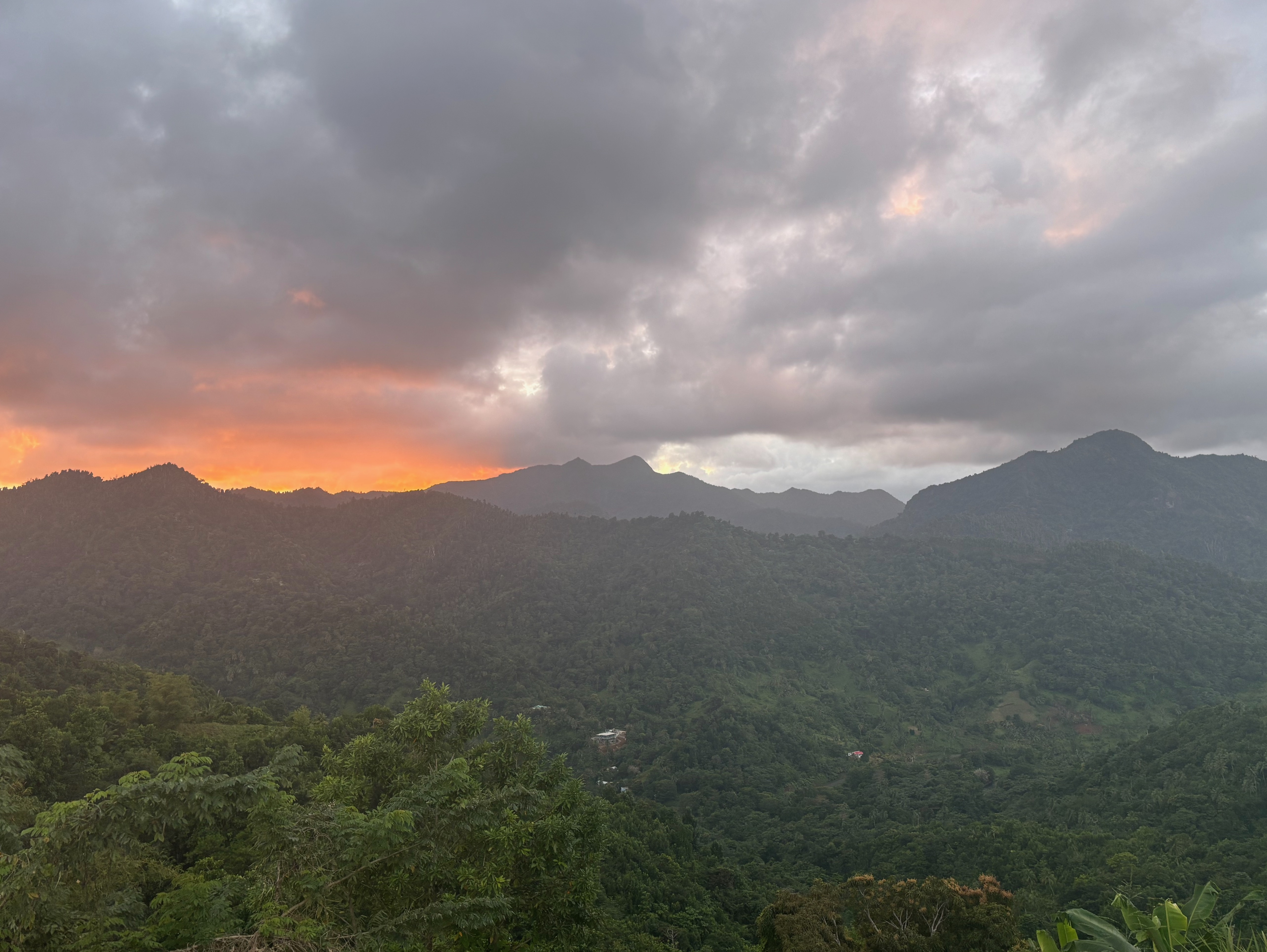 WNT 6: Castle Bruce to Marigot