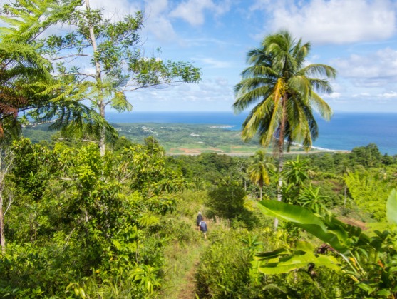 WNT 7: Marigot to First Camp
