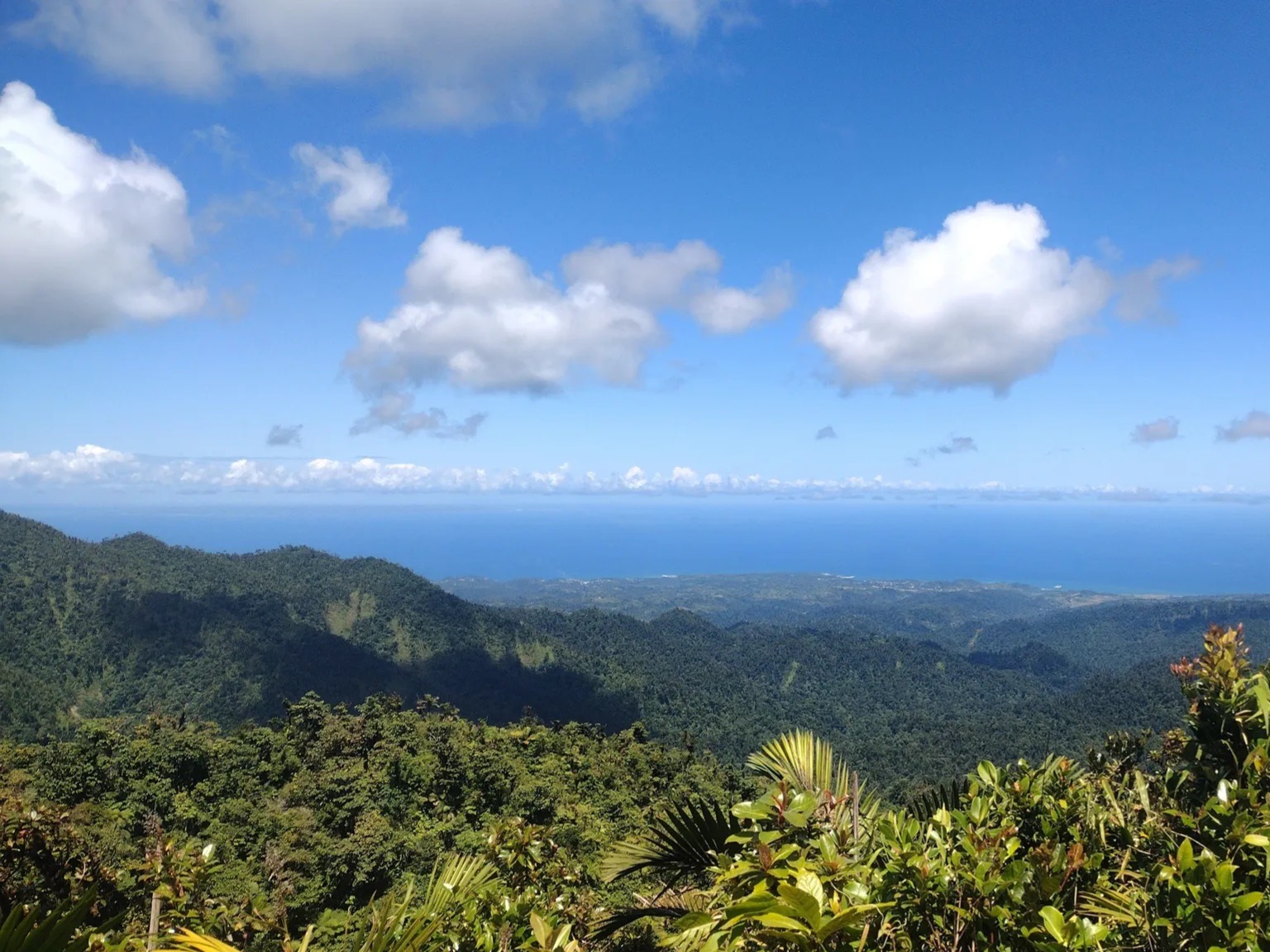 WNT 8: First Camp to Petite Macoucherie