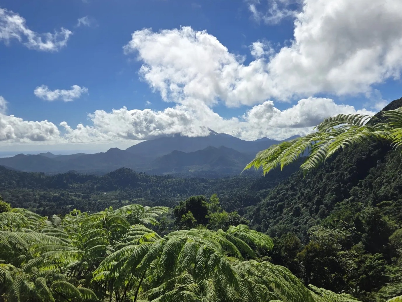 WNT 9: Petite Macoucherie to Colihaut