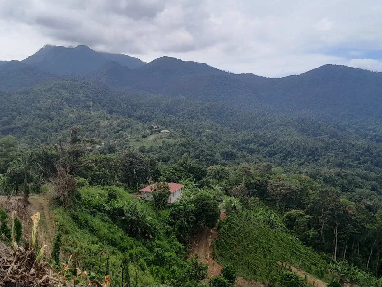 WNT 12: Penville to Capuchin