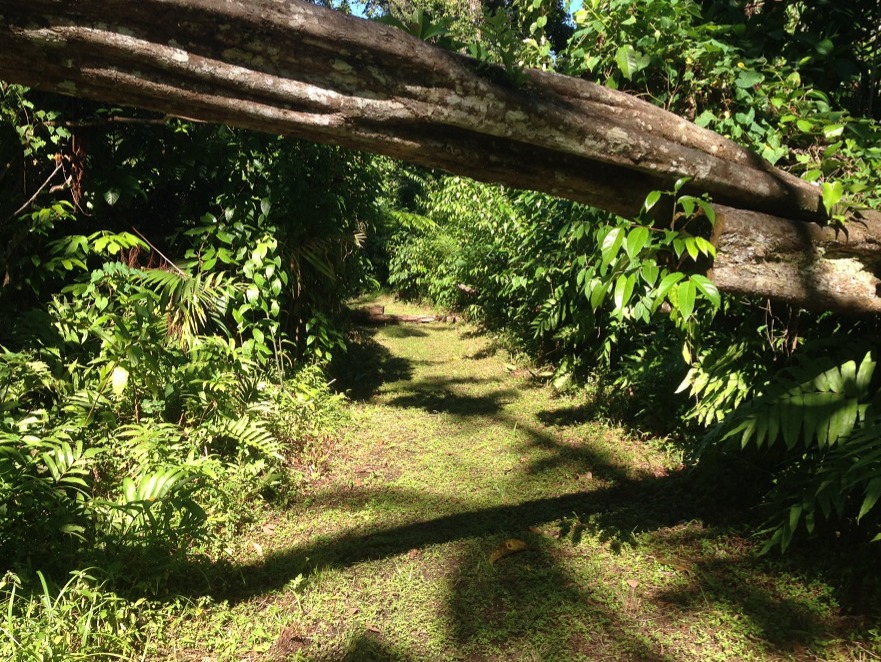 WNT 11: Borne to Penville